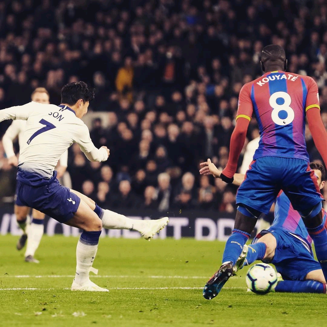 能会选择在 能会选择在